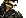 Human